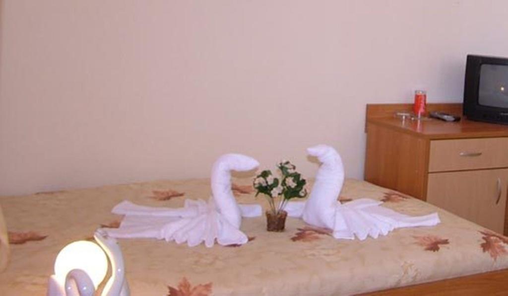 Family Hotel St. Constantine And Helena Ortaköy Dış mekan fotoğraf